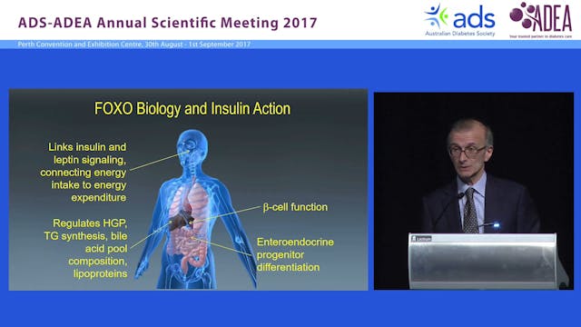 The new biology of diabetes Domenico ...