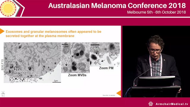 Dynamic regulation of melanoma cell p...