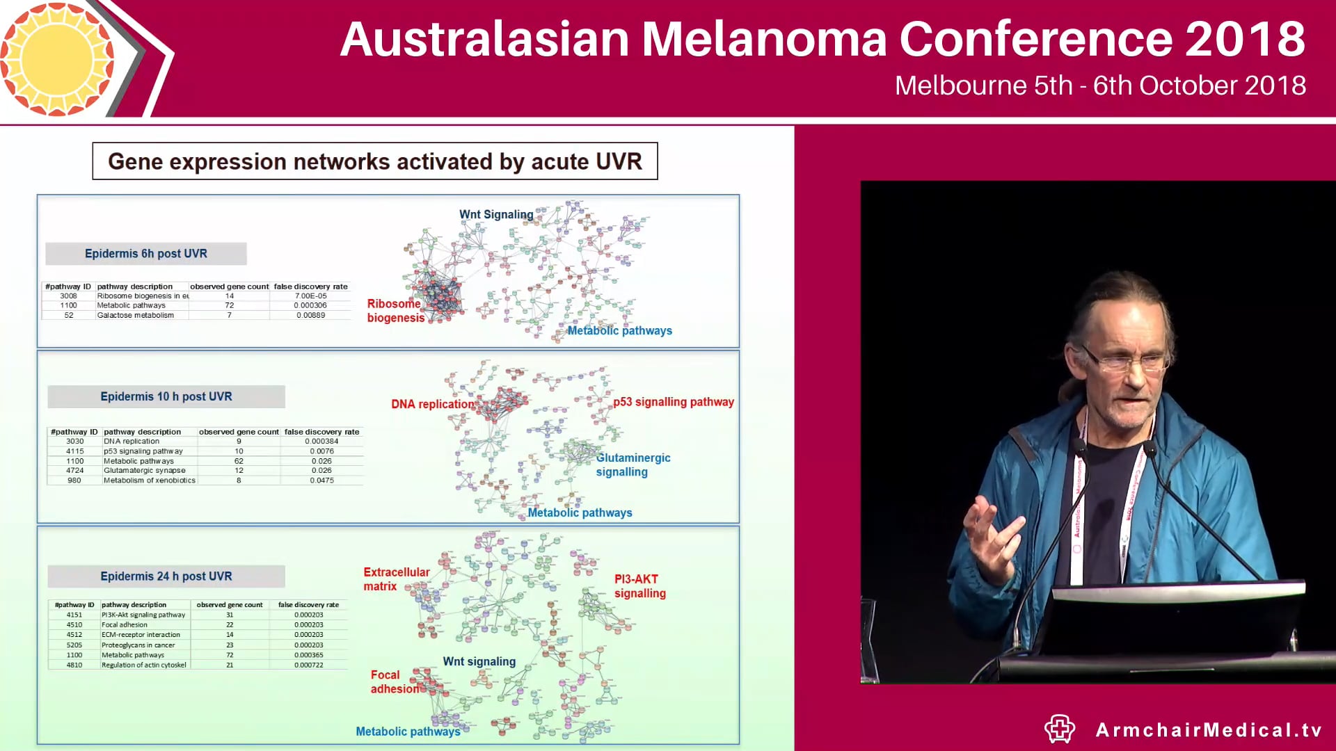 Mechanisms of UV radiation-induced melanoma formation Graeme Walker