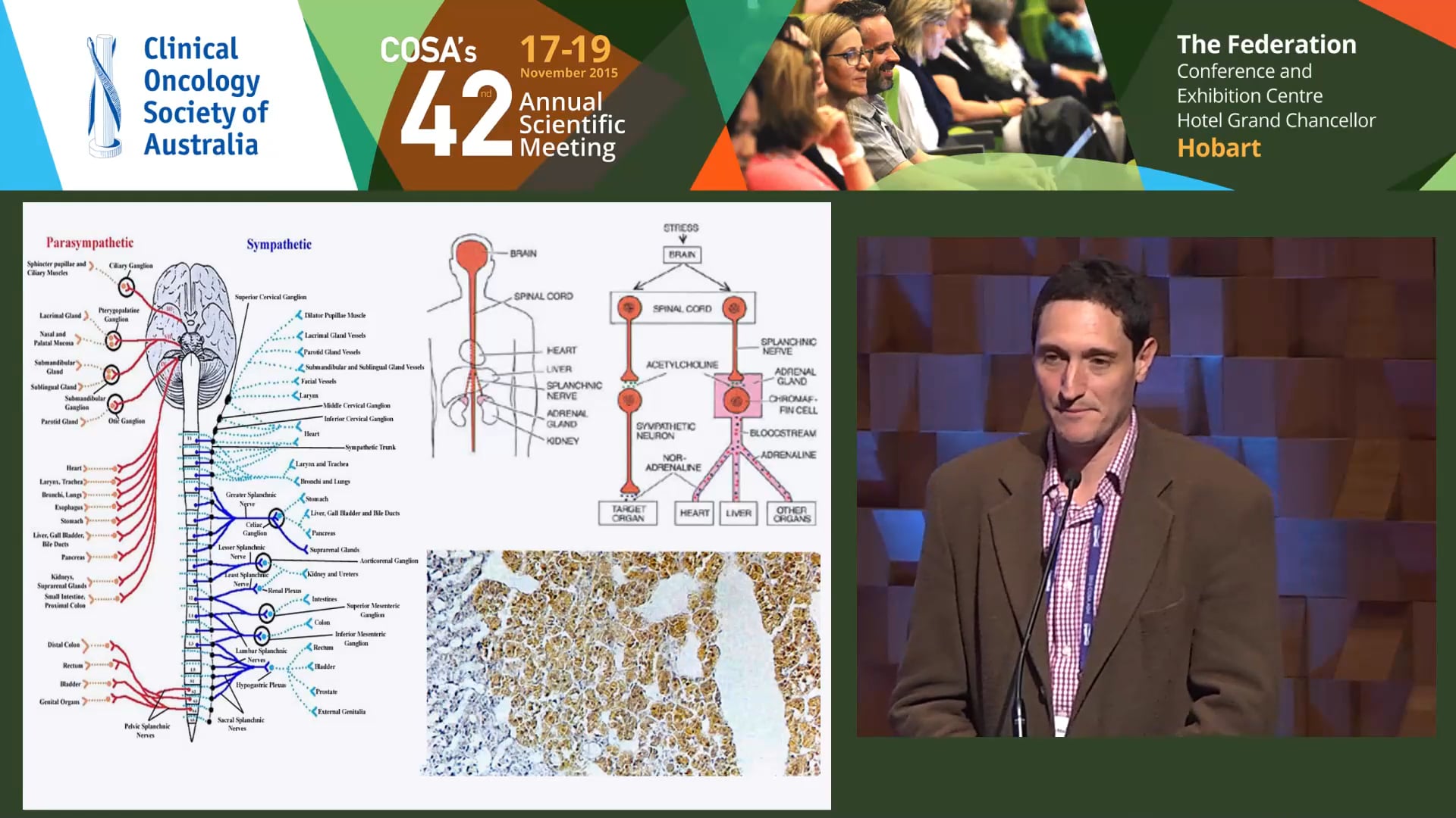 Nicholas Pachter Furnishing the Genetic Firepower in Phaeochromocytoma