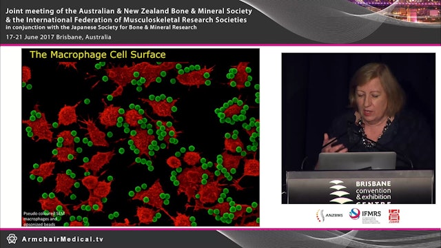 Imaging the macrophage surface Dorsal ruffling in a new light Prof Jennifer Stow