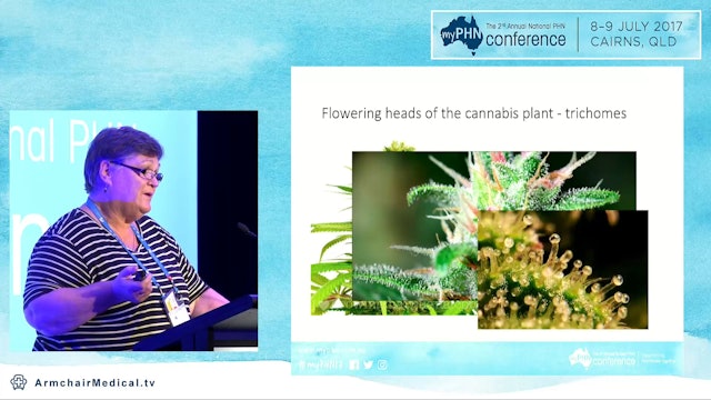 Medicinal cannabis - where are we up to Dr Sue Ballantyne