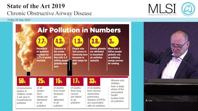 COPD and air pollution Prof Klaus Rabe