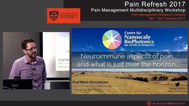 Neuroimmune aspects of pain and what is just over the horizon Professor Mark Hutchinson