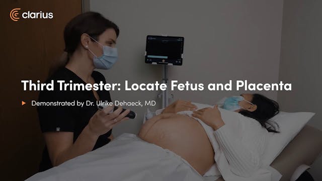 Third Trimester： Locate Fetus and Pla...