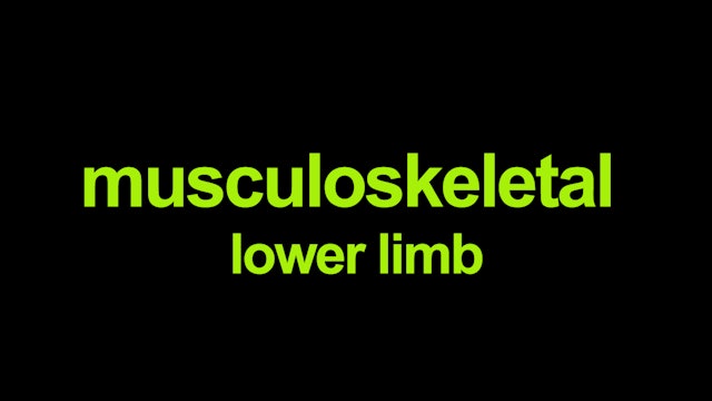 Musculoskeletal - lower limb