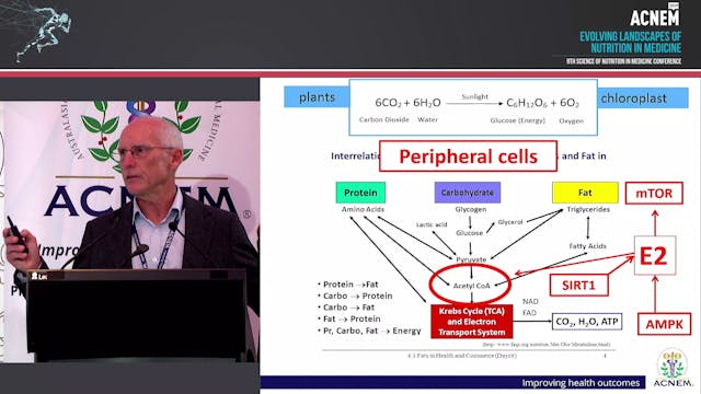 Understanding the link between Oestro...