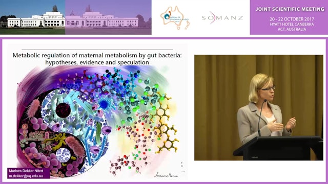 Metabolic regulation of maternal metabolism by gut bacteria hypotheses, evidence and speculation - Marloes Dekker Nitert