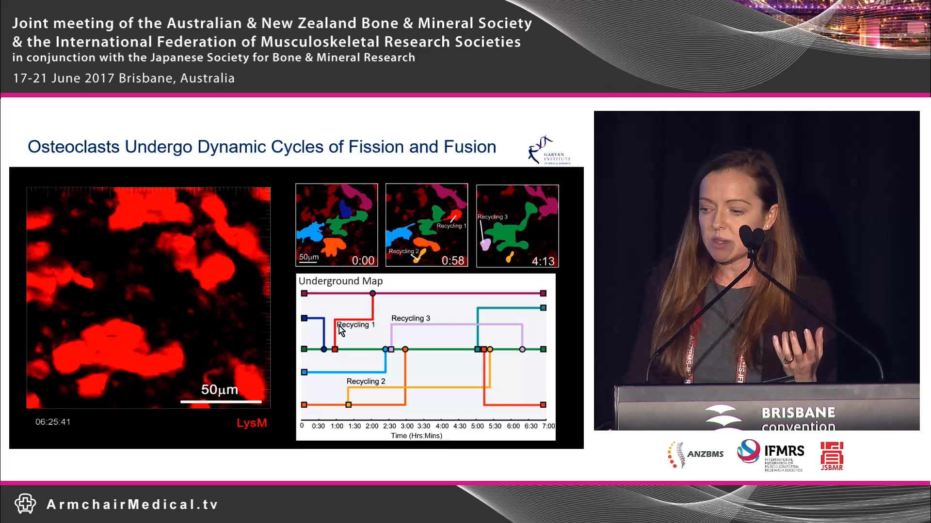 Intravital imaging of osteoclasts in vivo reveals a novel cell fate mechanism Dr Michelle McDonald