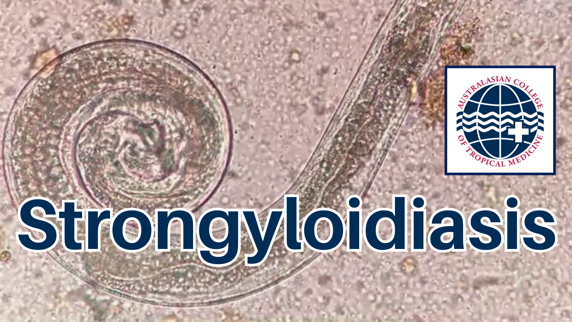 Strongyloidiasis: One Health 2024