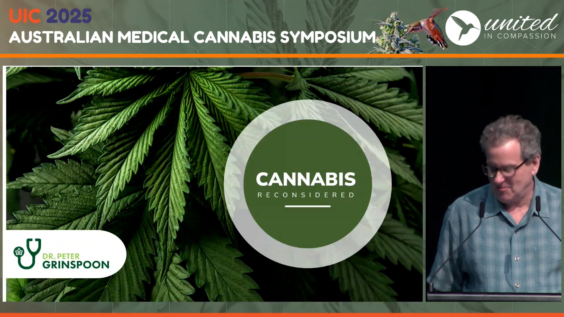 Cannabis use and the opioid crisis- can it help, How much, How Peter Grinspoon MD
