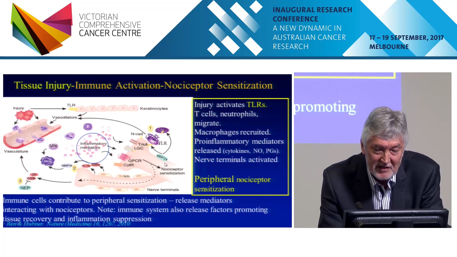 Cancer pain and its treatment with opioids the detrimental link with innate immune-mediated inflammation Andrew Somogyi