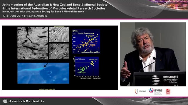 What is bone quality Prof Ego Seeman