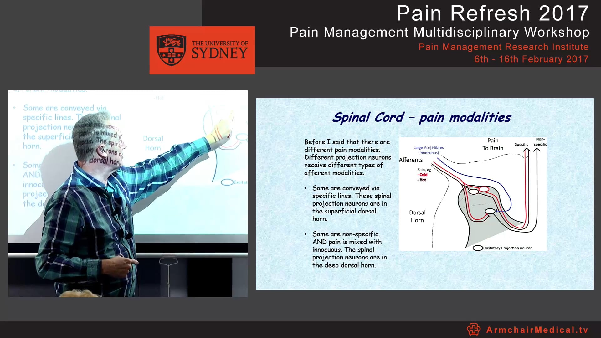 Spinal mechanisms - for pain & analgesia Dr Chris Vaughan