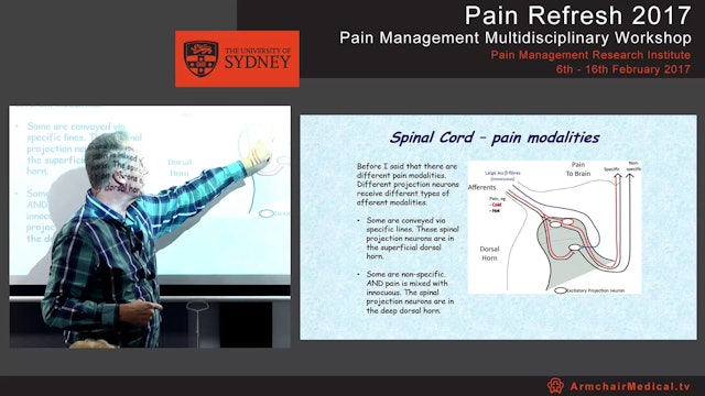 Spinal mechanisms - for pain & analgesia Dr Chris Vaughan