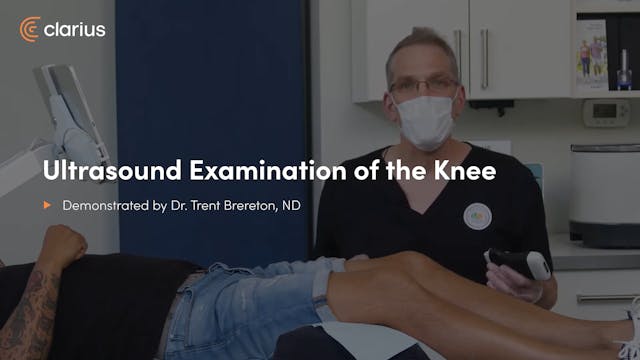 Ultrasound Examination of the Knee