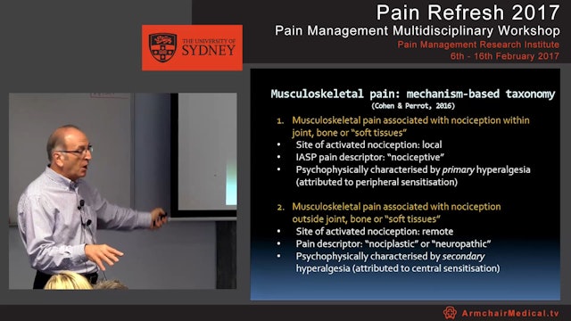 Overview of musculoskeletal pain Part 2 Professor Milton Cohen