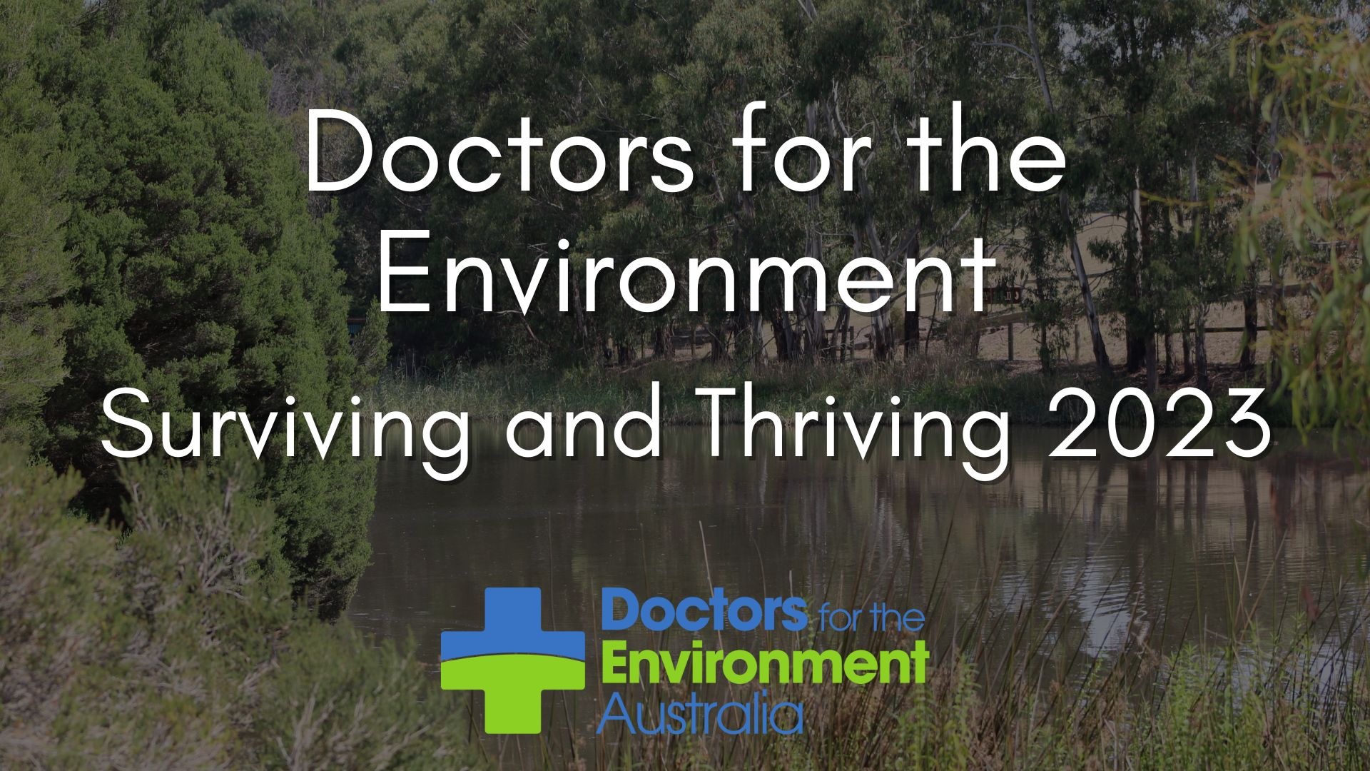 iDEA 23 Surviving & Thriving