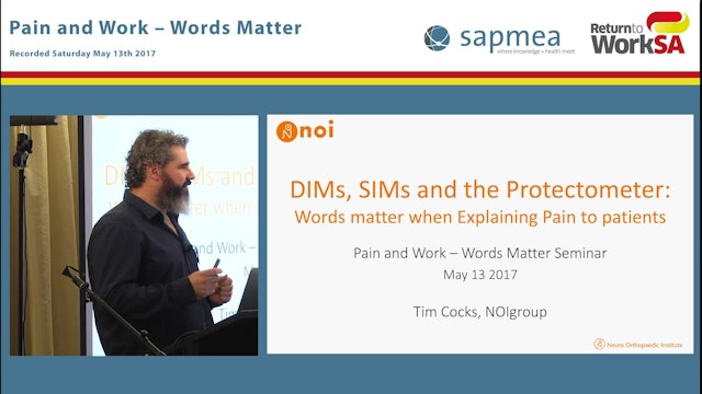 DIMs, SIMs and the Protectometer Words matter when explaining pain to patients Tim Cocks