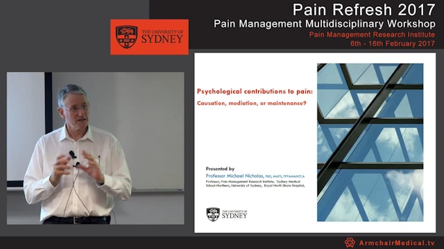 Psychological contributions to pain - causation, mediation, or maintenance Professor Michael Nicholas