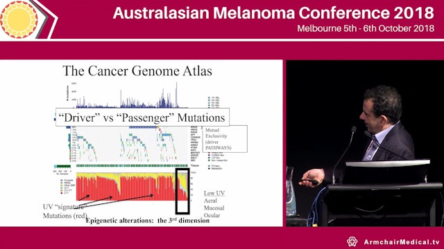 Melanoma clues to therapeutic efficacy from disease pathogenesis David Erich Fisher