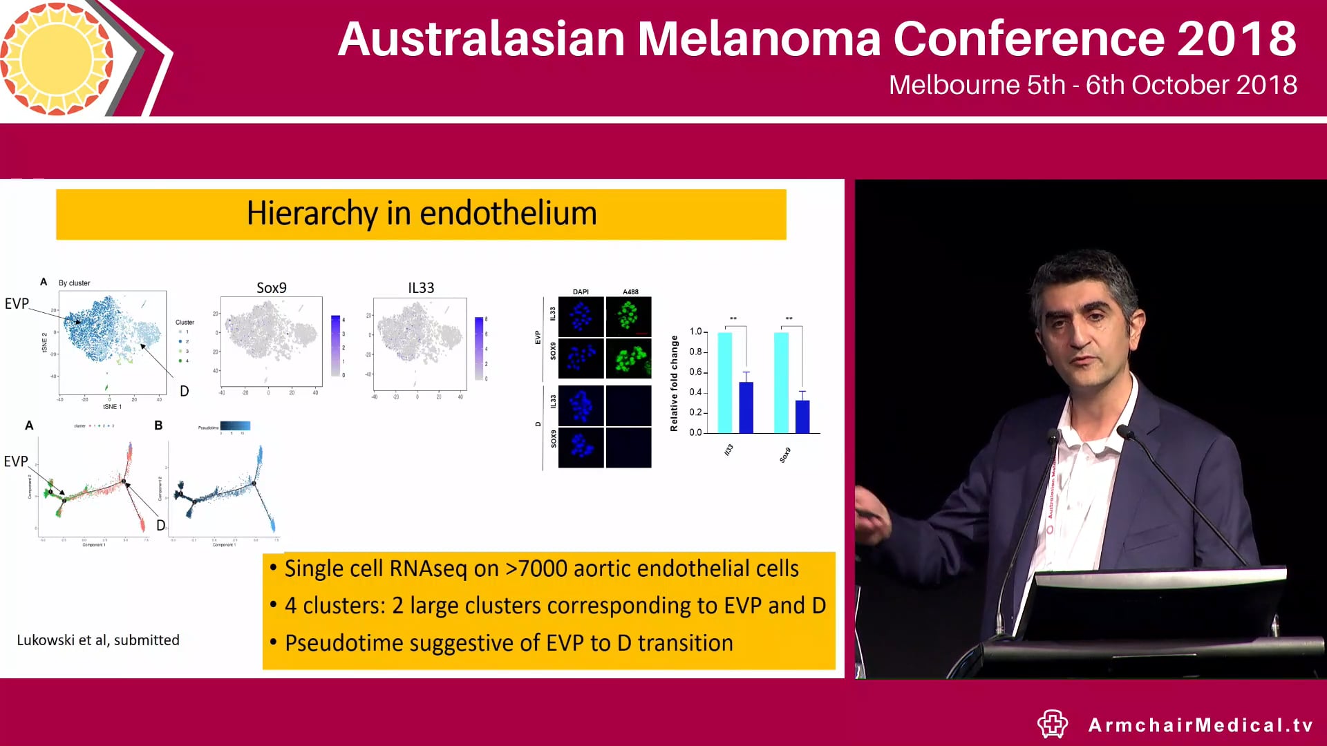 Origin of vascular progenitors driving melanoma angiogenesis in vivo Kiarash Khosrotehrani