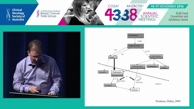 Hormonal treatments after male breast cancer Nicholas Wilcken