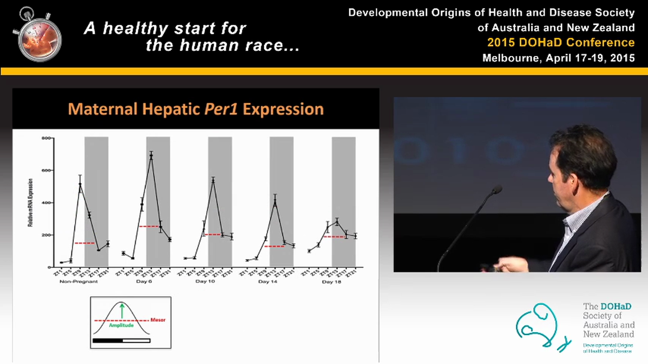 Developmental programming of circadian clock gene expression in metabolic tissues Brendan Waddell (Perth, WA)