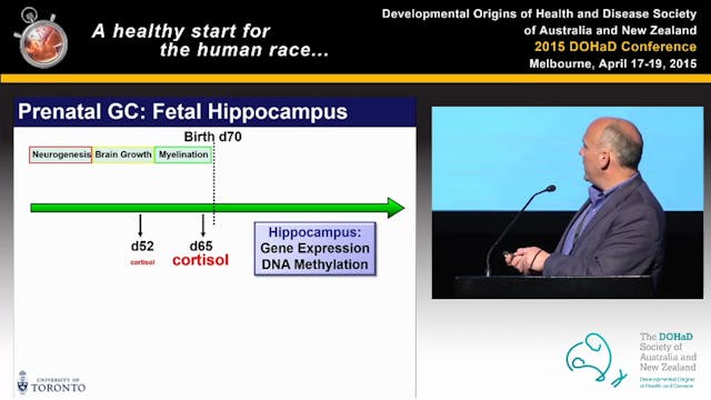 Early life programming of stress resp...