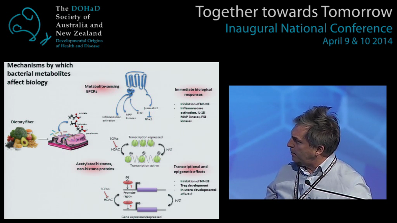 Obesity Mechanisms and pathways