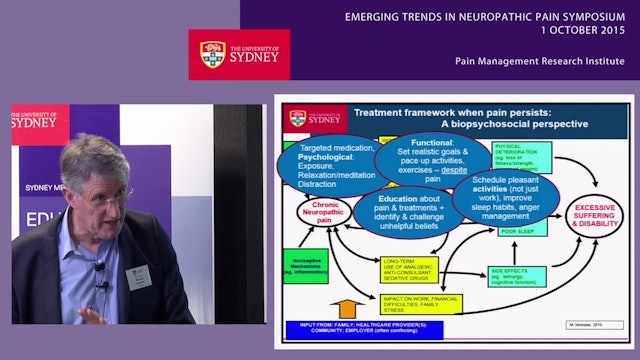 Psychological and Functional Management of Neuropathic Pain Professor Michael Nicholas