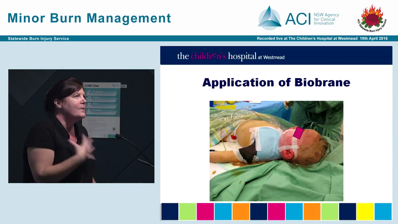 Biobrane Product Information & Nursing Wound Management Guidelines Deborah Maze