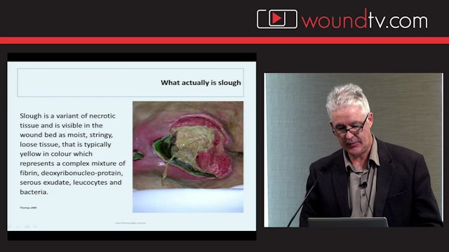 Revision Assessment & Wound Bed Preparation Gary Bain