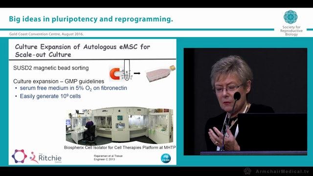 Uterine stem cell isolation and functions Caroline Gargett Hudson Institute of Medical Research