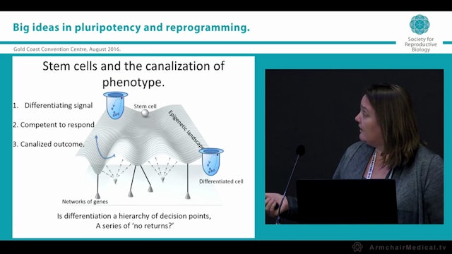 Exploring the many Stem Cell identities in the Stemformatics atlas Christine Wells University of Queensland