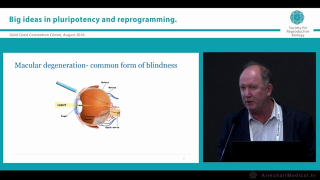 Embryonic stem cells. A tale of mice and humans as well as pigs Mark Nottle University of Adelaide