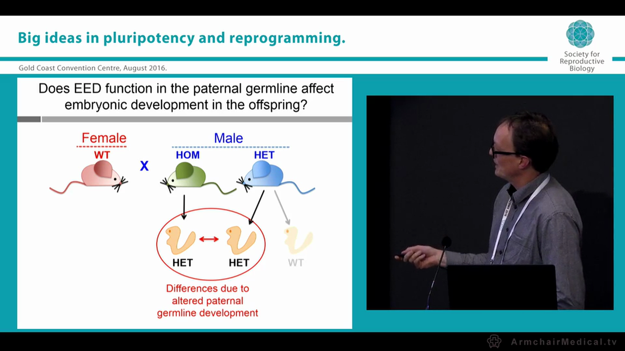 Drugs, germline epigenetics and offspring health should we be concerned Patrick Western Hudson Institute of Medical Research