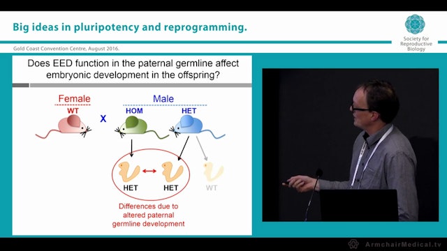 Drugs, germline epigenetics and offspring health should we be concerned Patrick Western Hudson Institute of Medical Research