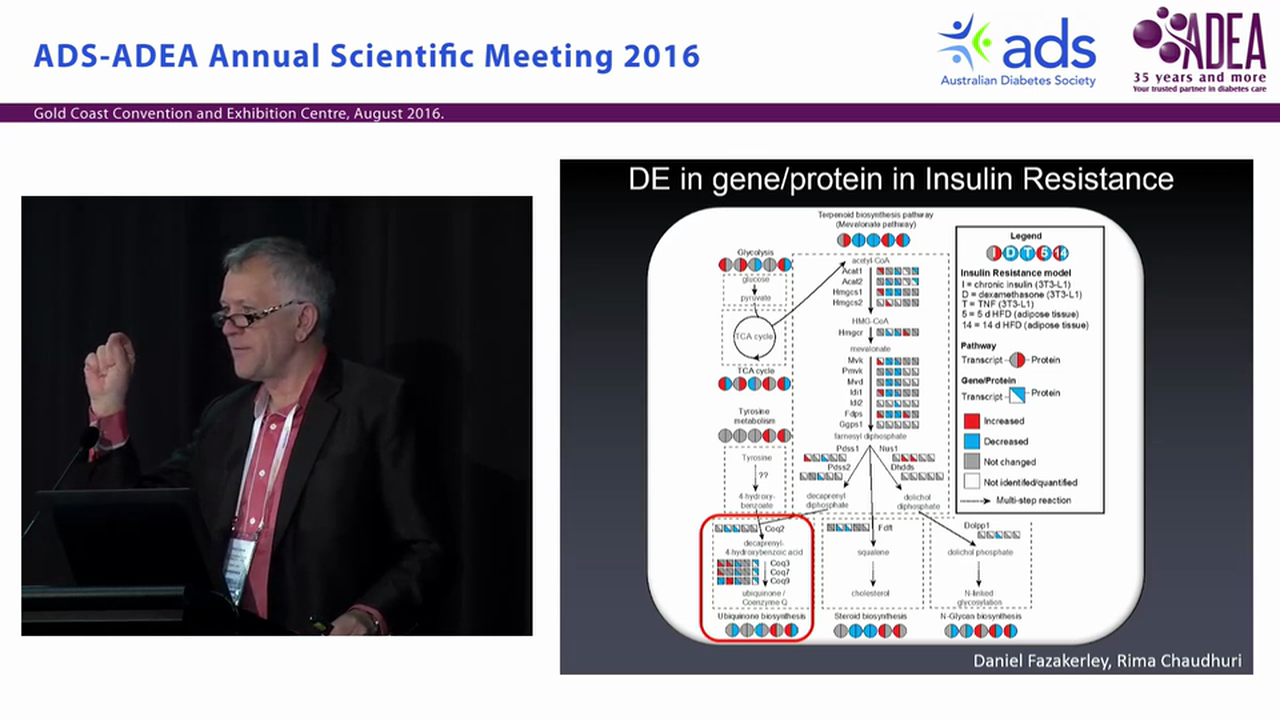 Insulin Action in the Fat Cell - David E James