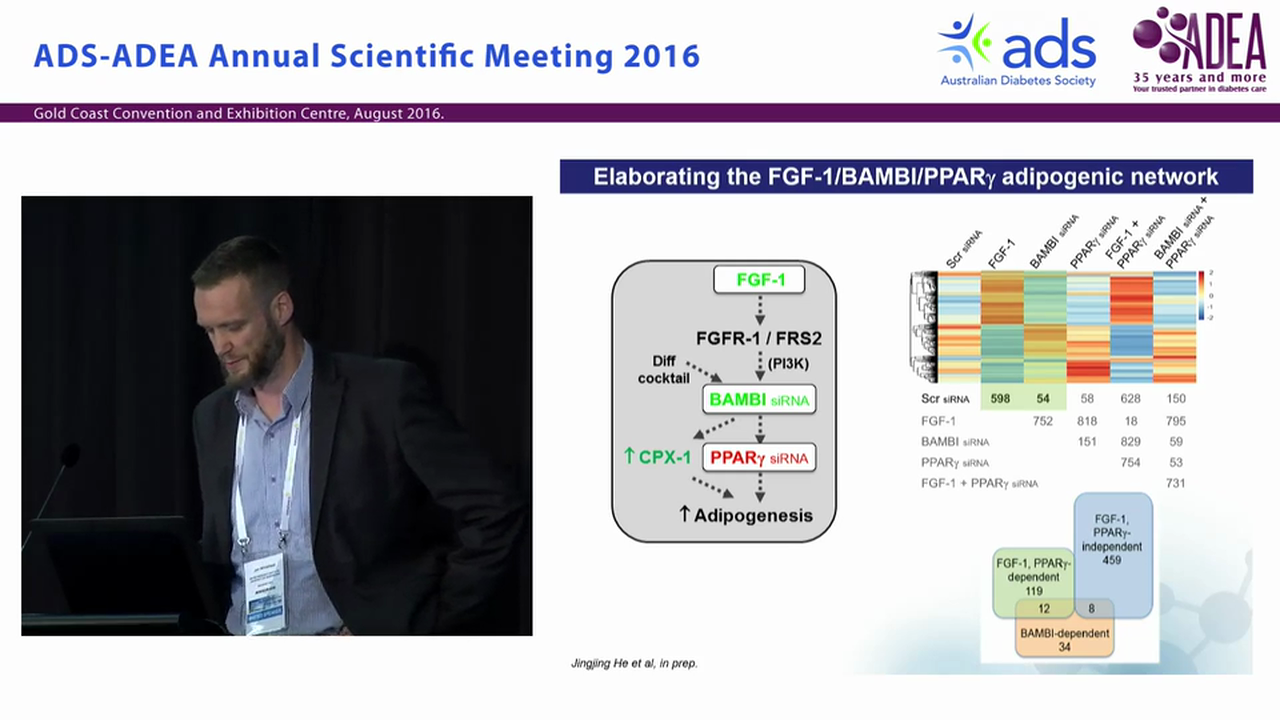 Identification of an interferome nexus as a paradoxical negative regulator of adipogenesis and positive regulator of local and systemic insulin sensitivity - Jon Whitehead
