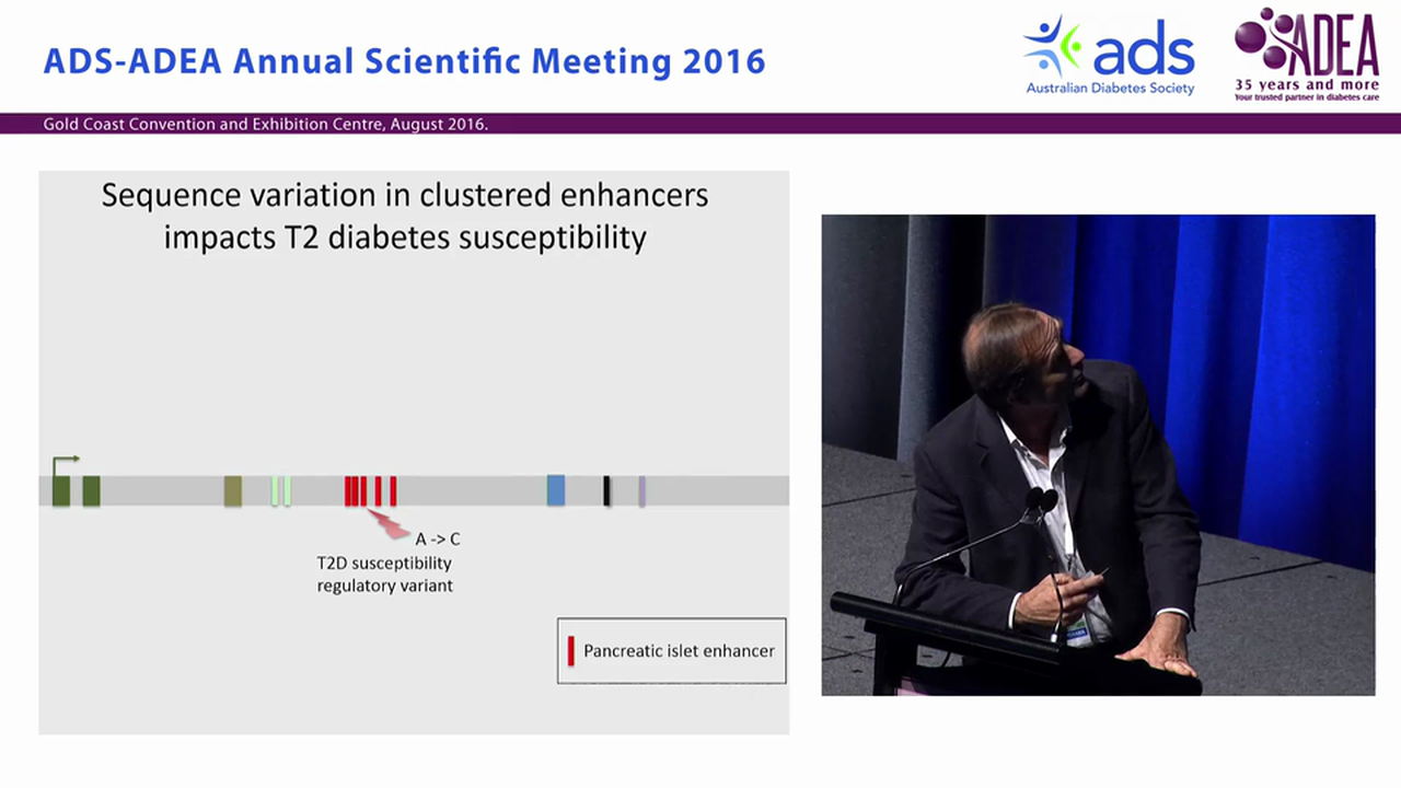 Noncoding genome function in pancreas development and disease - Jorge Ferrer