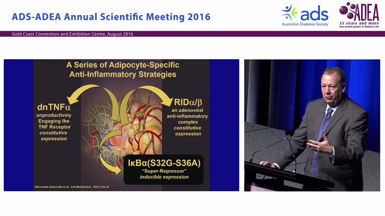The Multifaceted Roles of Adipose Tissue Therapeutic Targets for Diabetes and Beyond - Philipp E Scherer