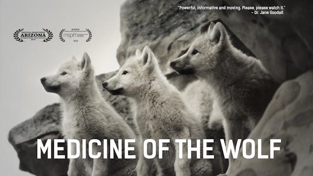 MEDICINE OF THE WOLF WITH BONUS MATERIAL
