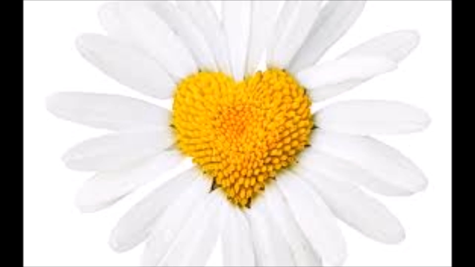 CULTIVATING PATIENCE