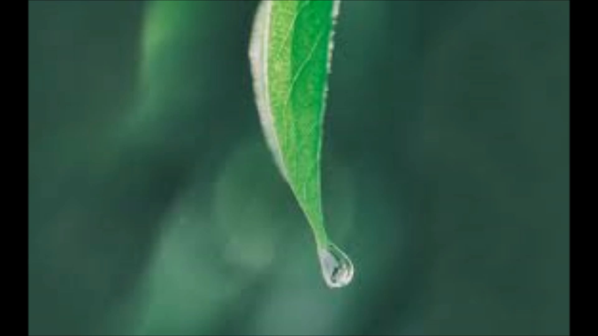 The Zen of It All: Letting Go of Resistance