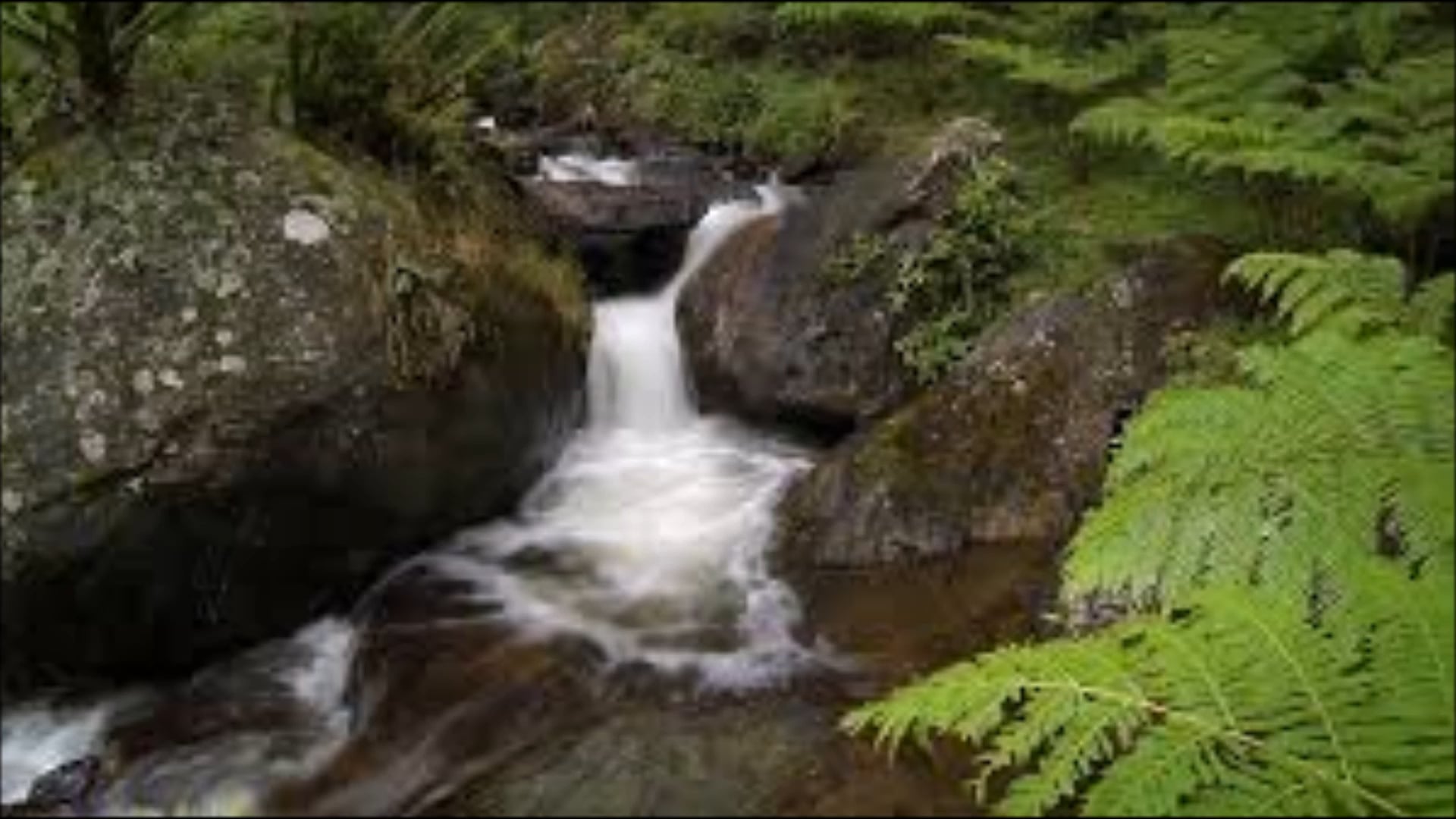 PEACEFUL STREAM OF THOUGHTS