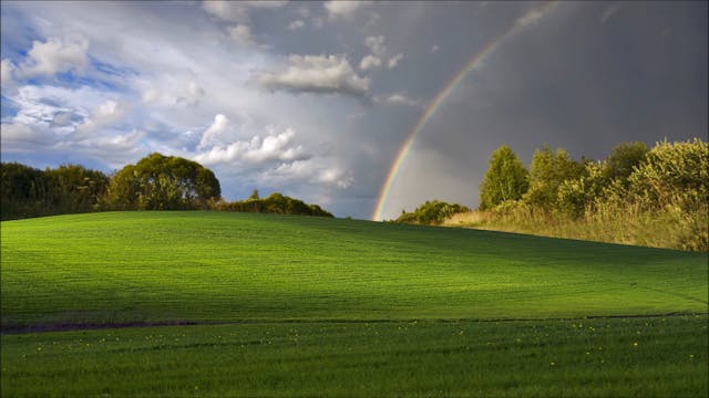 FIND FREEDOM IN THE SACRED STILLNESS ...