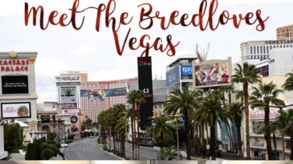 The Breedloves West Coast 