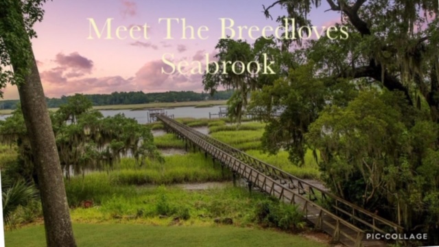 Meet The Breedloves Video