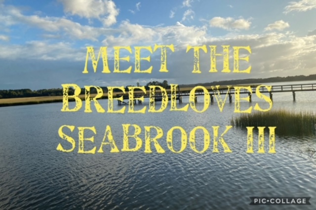 Meet The Breedloves Video